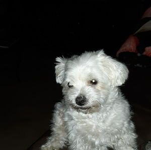 Meet your Posher, Melody